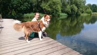 Hund am See